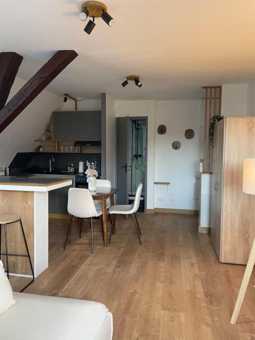 Duplex Bord De L'Eure - Parking Inclus - Jolie Vue Sur La Cathedrale Apartment Chartres Luaran gambar
