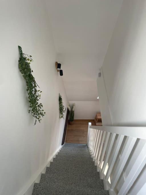 Duplex Bord De L'Eure - Parking Inclus - Jolie Vue Sur La Cathedrale Apartment Chartres Luaran gambar