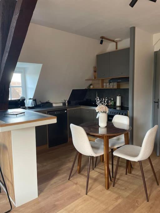 Duplex Bord De L'Eure - Parking Inclus - Jolie Vue Sur La Cathedrale Apartment Chartres Luaran gambar